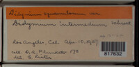 Image Associated With the Occurence